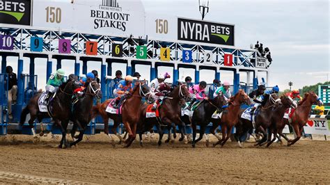 Belmont Stakes Betting - Strategies and Tips